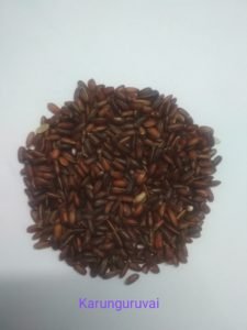Karunguruvai scaled