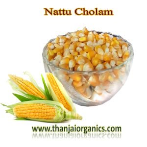 Nattu Cholam pic