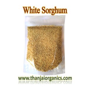 white sorgam