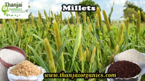 MILLETS