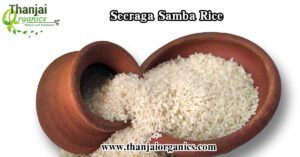 seeraga samba rice