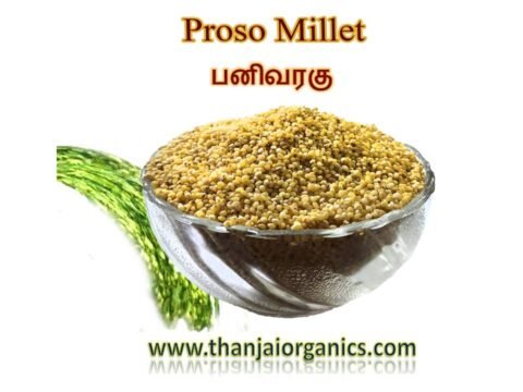 #author_first_nameBuy Organic Proso Millet -Panivaragu Online Tamilnadu